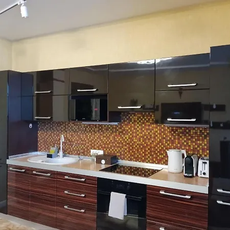 Apartament Chalenko In The Center