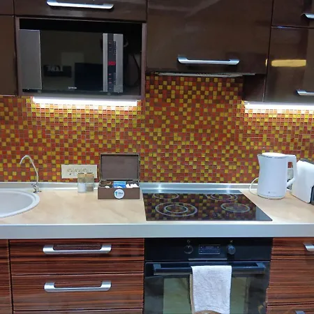 Chalenko In The Center Apartament Odessa