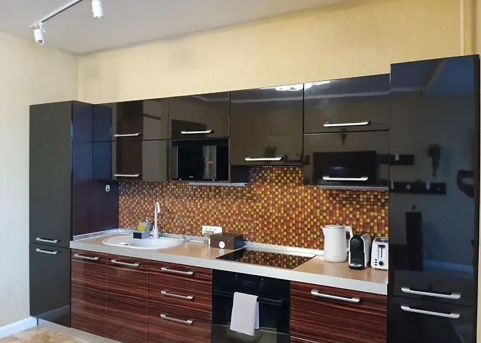 Apartment Chalenko In The Center