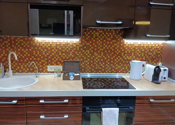 Chalenko In The Center Apartament Odessa